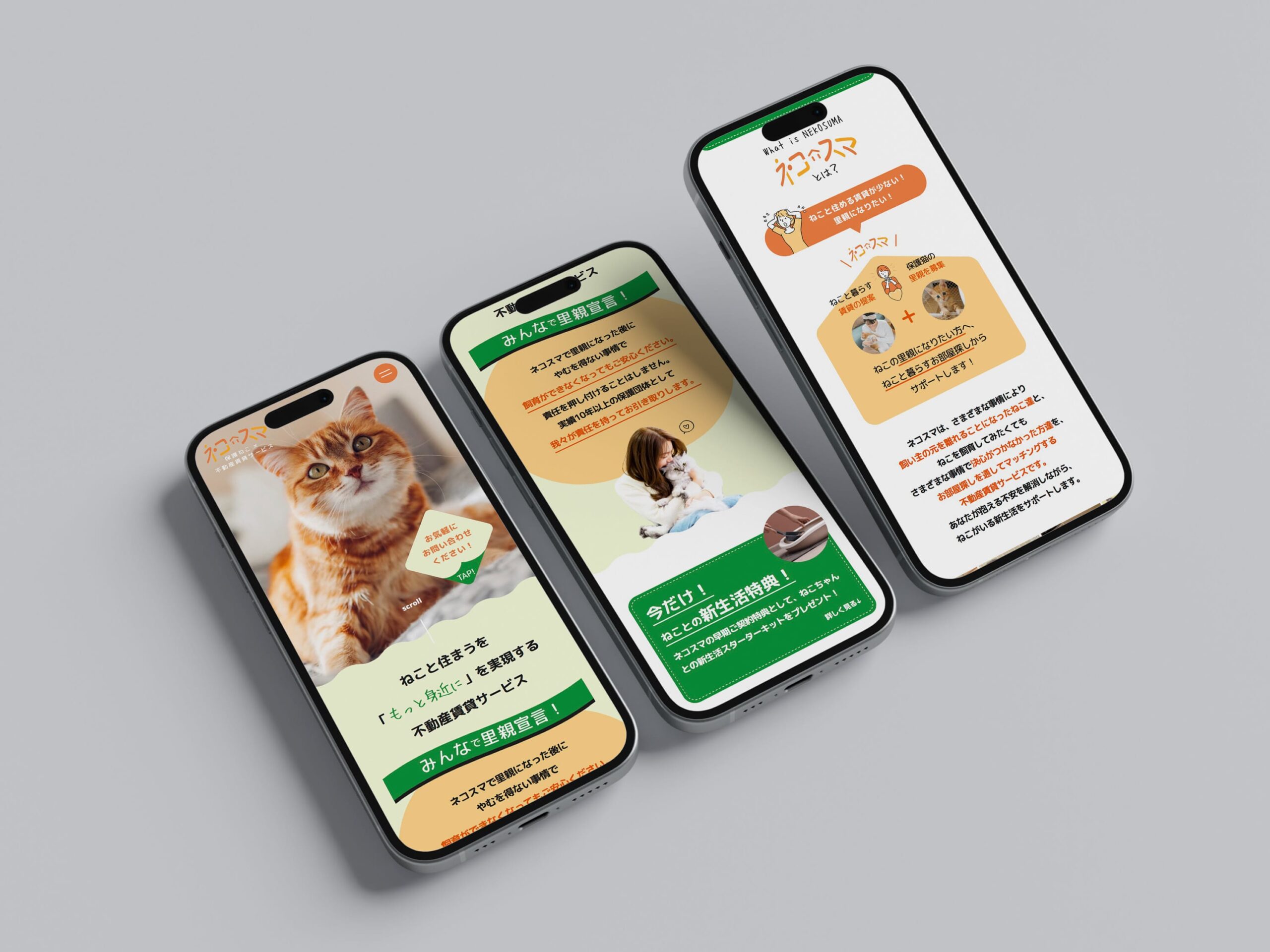 ネコスマ LP及びロゴとコンセプトブックの制作