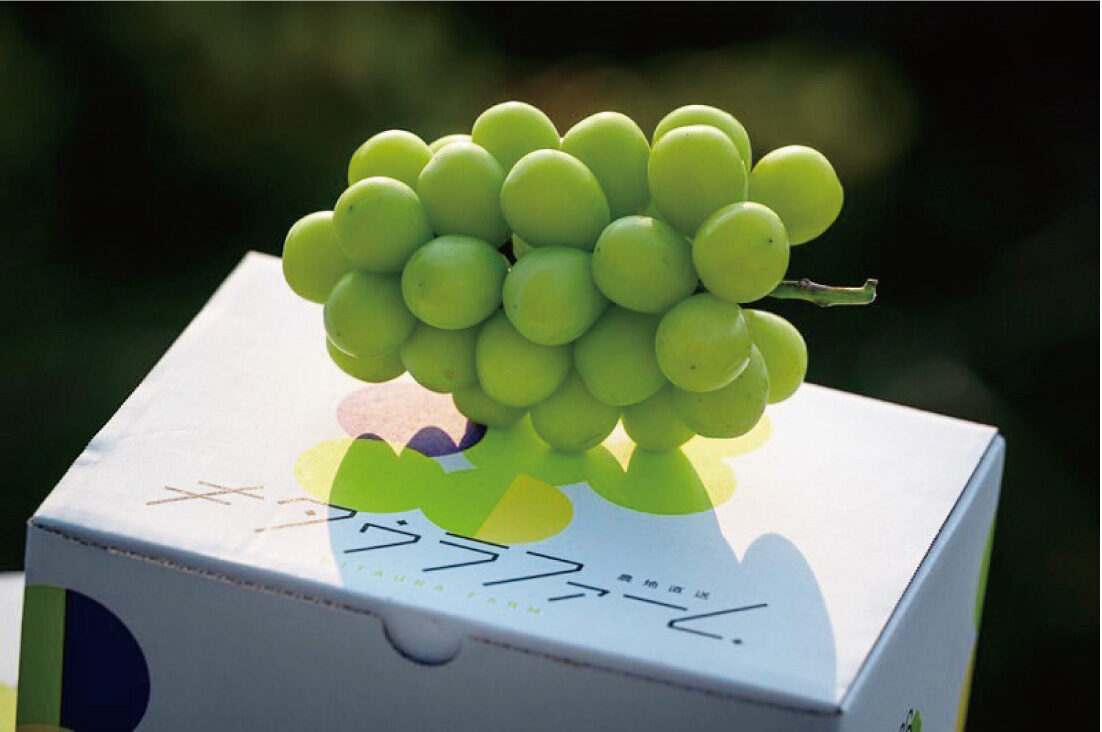 北浦ファーム ホームページ・ロゴ・パッケージ