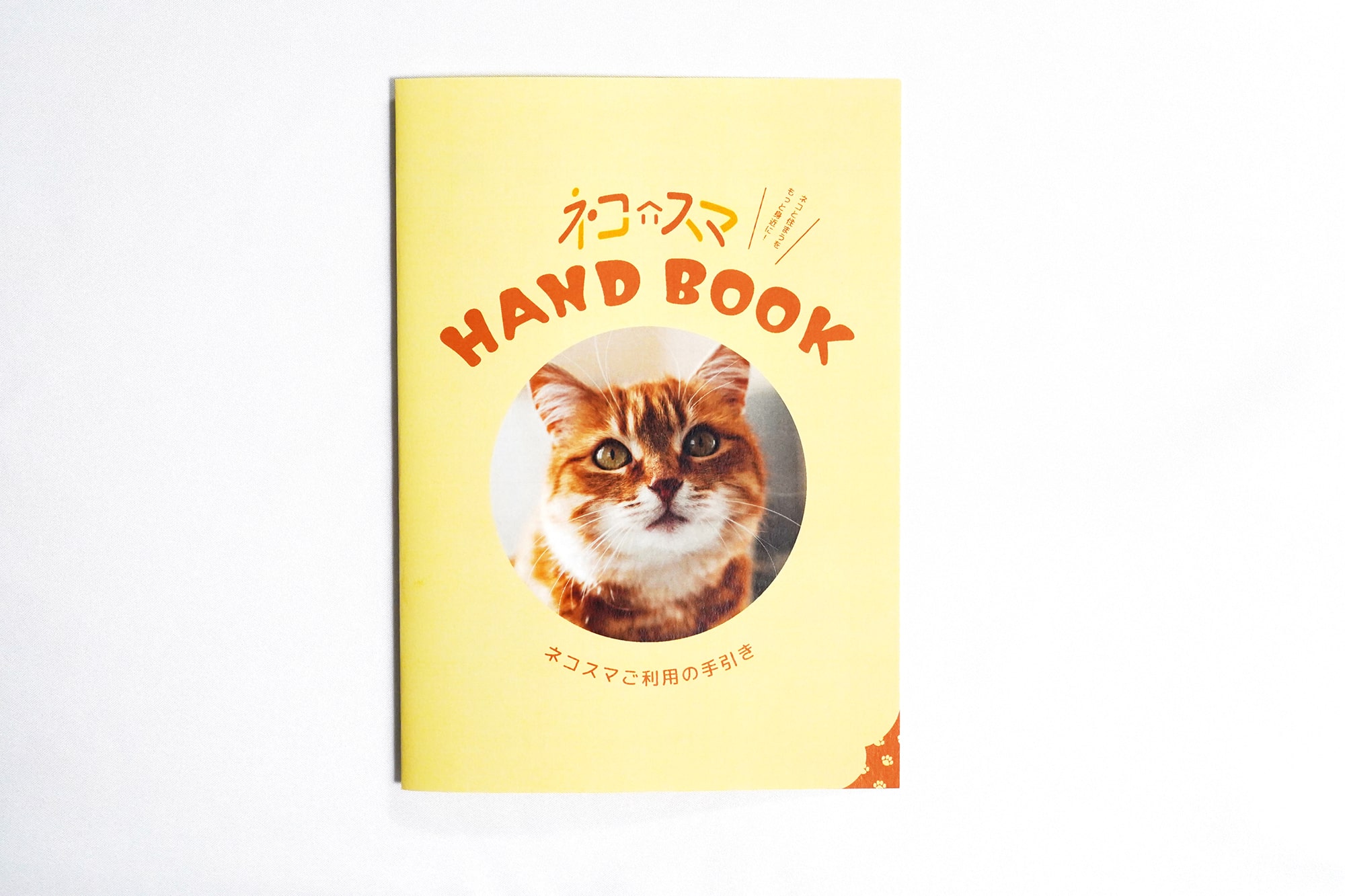 ネコスマ LP及びロゴとコンセプトブックの制作